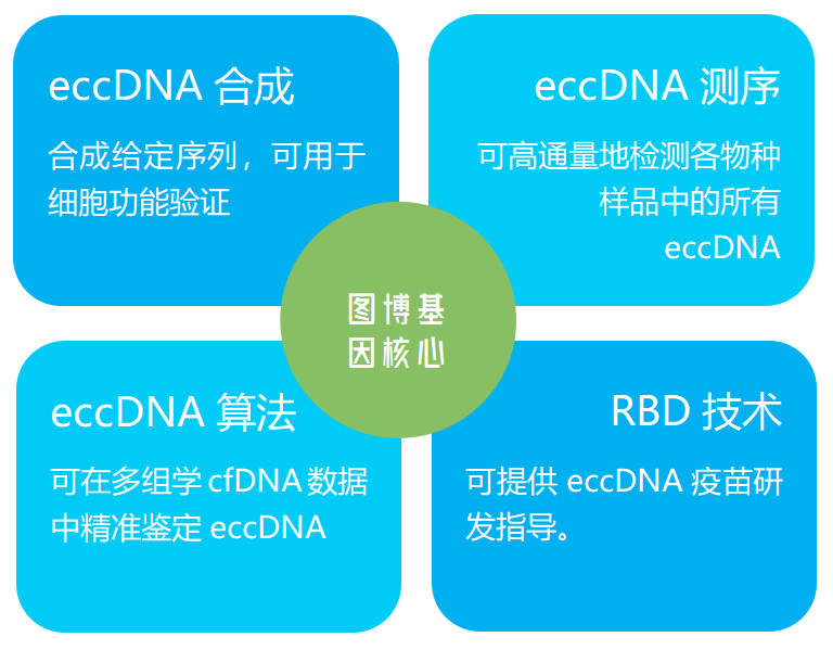 eccDNA测序仪